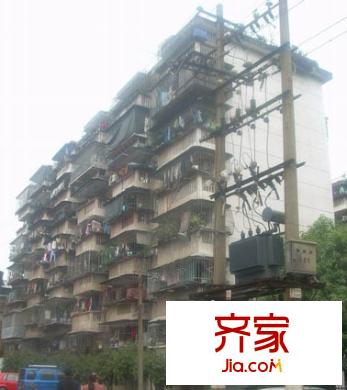 王莊梅園外景圖 