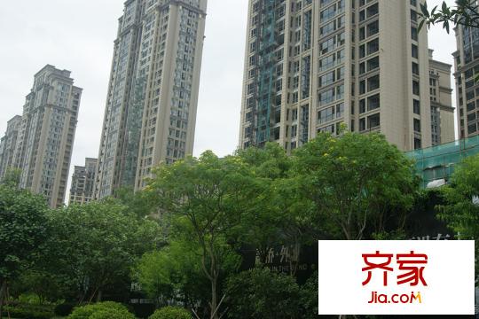 融僑外灘20130718