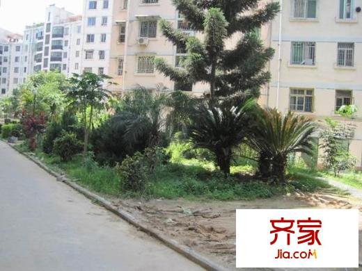 三木花園B區(qū)外景圖 