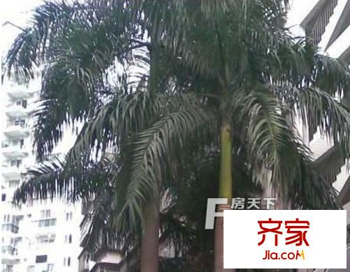 商地花園外景圖 