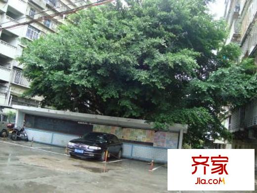 省人防辦單位宿舍外景圖 