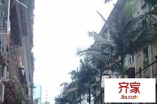 省級(jí)機(jī)關(guān)衛(wèi)生處宿舍外景圖 
