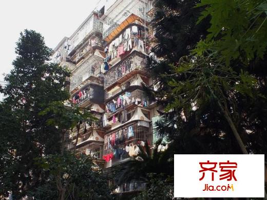 龍庭花園外景圖 