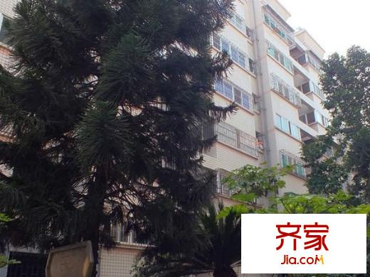 龍庭花園外景圖 