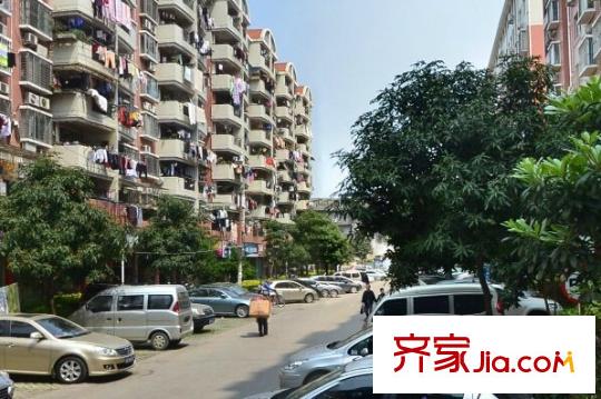 嘉源欣苑配套圖周邊配套 街道