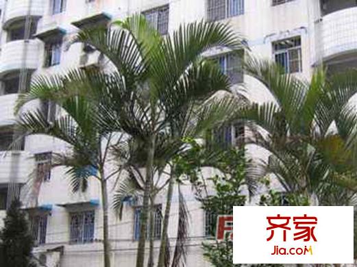 鼓山商貿(mào)城外景圖 