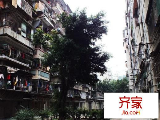 鳳凰池新村外景圖 
