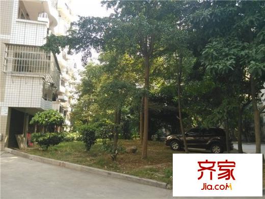 江濱錦城外景圖 
