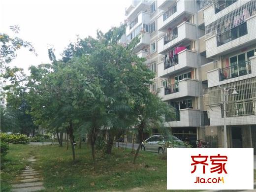 江濱錦城外景圖 