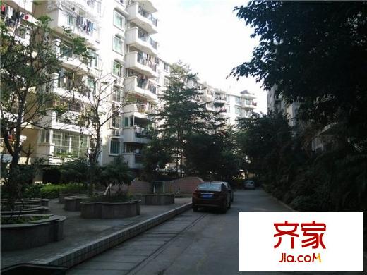 江濱錦城外景圖 