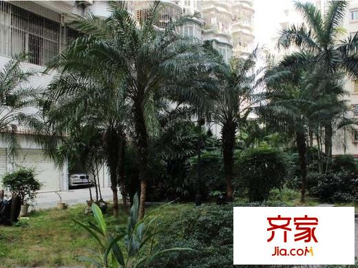 富城小區(qū)外景圖 