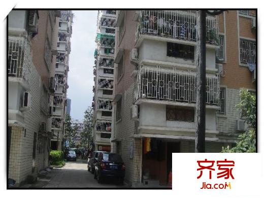 濱江花園外景圖 
