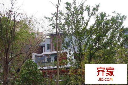 光谷坐標城九臺別墅（20150331）