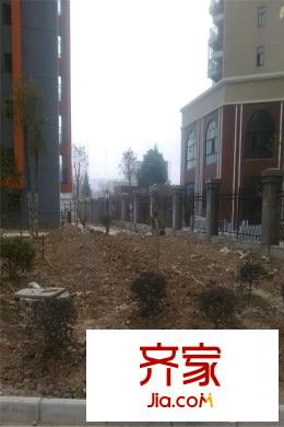 光谷領(lǐng)秀自由城二期小區(qū)綠化建設(shè)（20150104）