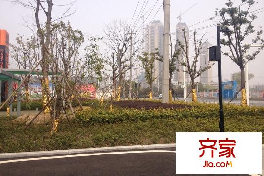綠地國(guó)博財(cái)富中心營(yíng)銷(xiāo)中心綠化（20150330）
