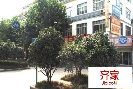夢湖水岸別墅外景圖夢湖水岸 
