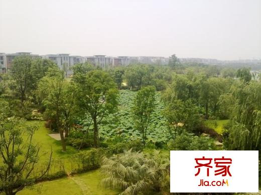 湖墅觀止別墅外景圖湖墅觀止 