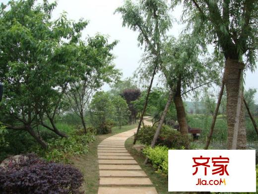 湖墅觀止別墅實景圖綠化實景（20100525）