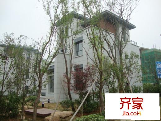 湖墅觀止別墅實景圖獨棟實景斜視（20100525）