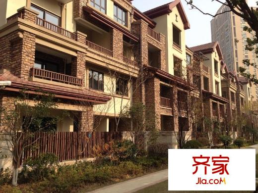 復(fù)地東湖國際別墅外景圖 