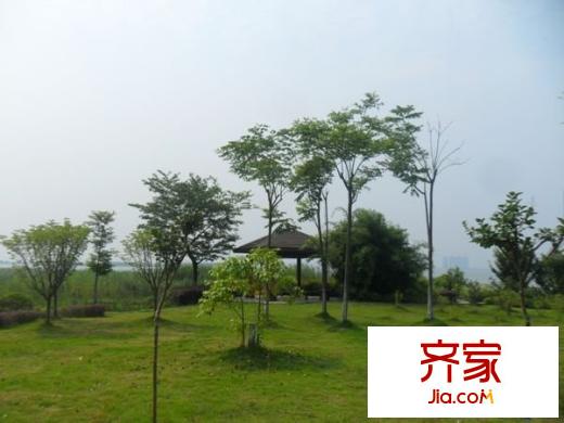 聽濤觀海別墅外景圖 