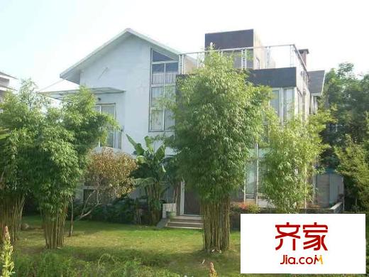 大洋彼岸心海岸別墅外景圖小區(qū)綠化（20090923）