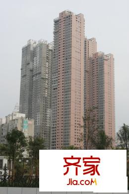 世茂國際花園外景圖20100126