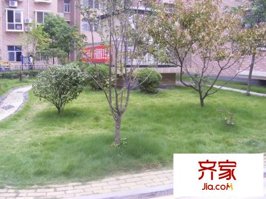 東鴻小區(qū)外景圖 