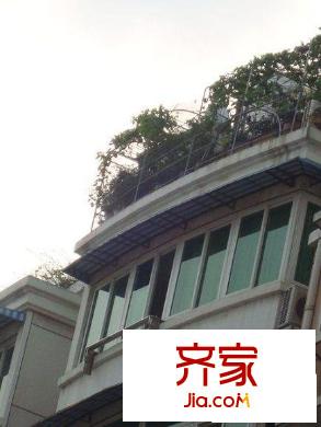 江南公寓外景圖   