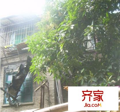 福機新村