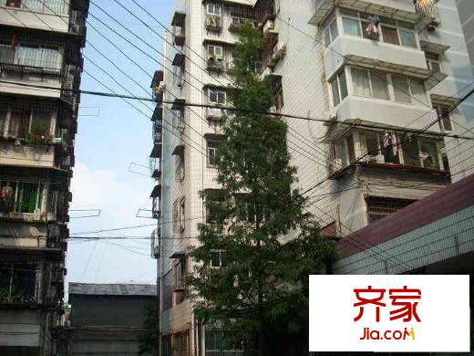 楊園新村外景圖 