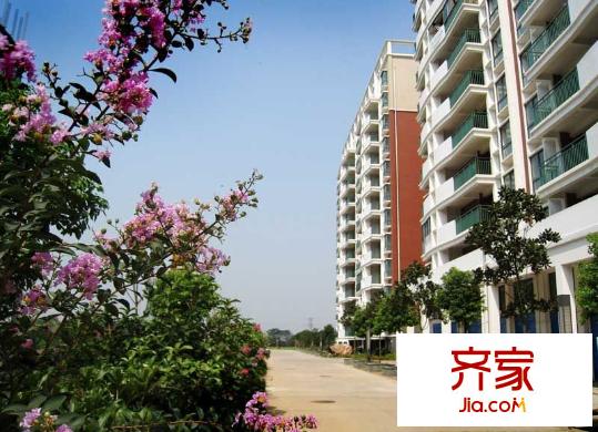 新陽花苑外景圖