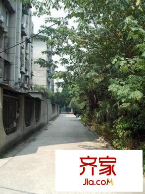 丁字橋小區(qū)外景圖 