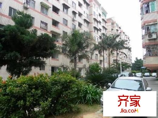 錦江花園外景圖 