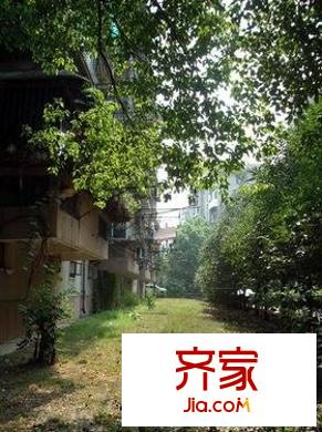 紫竹園小區(qū)外景圖   