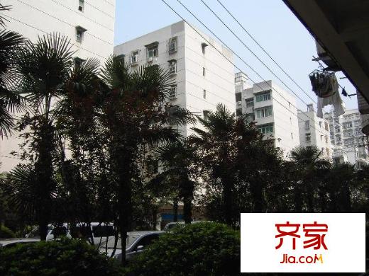 金銀島小區(qū)外景圖 