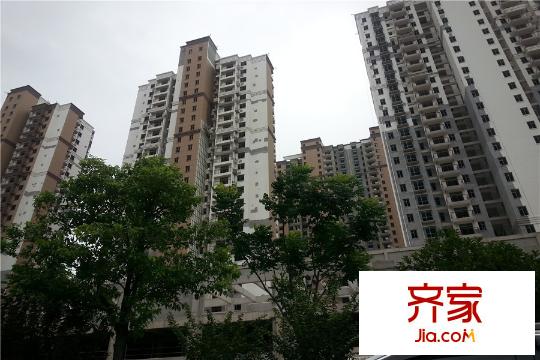 華鼎麗都國際7、8號樓實景（20150809）