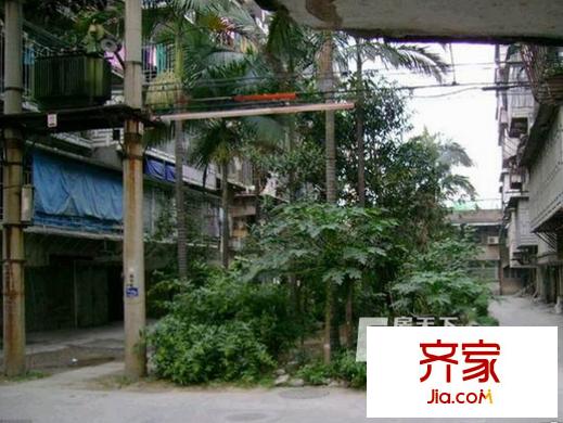 王莊蓮園外景圖 