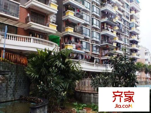 五鳳蘭庭八期外景圖 