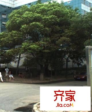 東湖中學(xué)小區(qū)外景圖東湖中學(xué)教師宿舍 