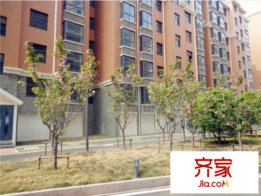 光谷桂花城QQ圖片20140821121545