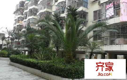 中亭街B區(qū)外景圖 