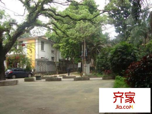 華僑新村外景圖 