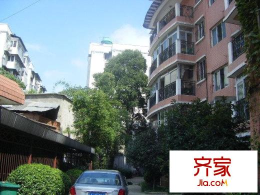 集賢花園外景圖 實(shí)景圖 