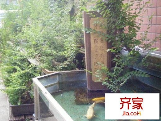 集賢花園外景圖 實景圖 