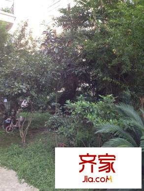 先賢苑外景圖 