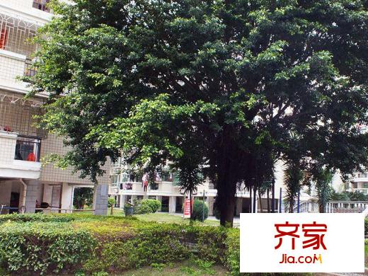 城南名苑外景圖 