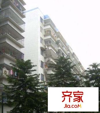 紫新新村外景圖 