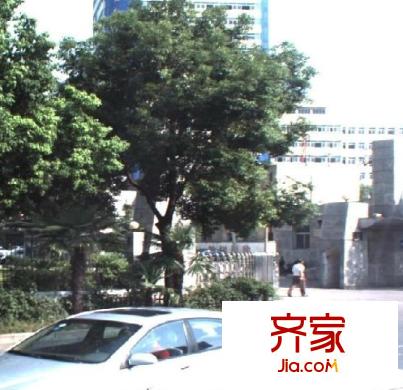 十畝地小區(qū)外景圖 