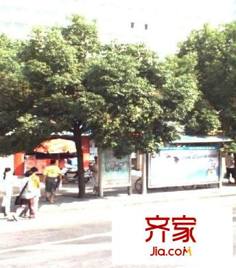 十畝地小區(qū)外景圖 
